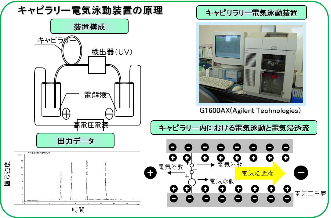 PICOTECDEVICE